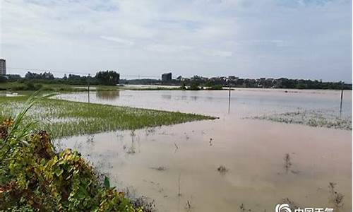 吴川天气_吴川天气预报