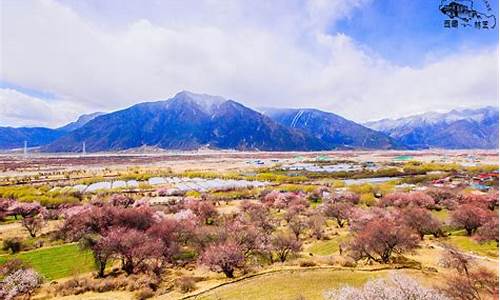 林芝地区最好的景点_林芝地区最好的景点是哪里